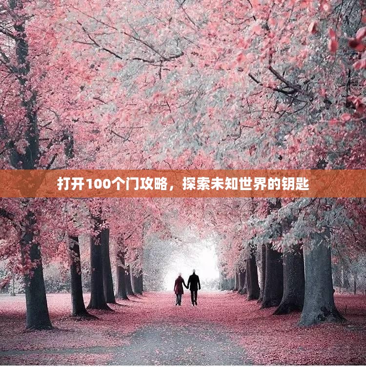 打开100个门攻略，探索未知世界的钥匙
