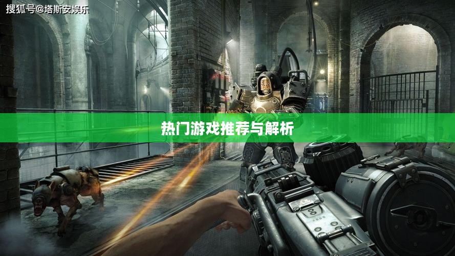 射击类网游排行,热门游戏推荐与解析 射击类网游排行,热门游戏推荐与解析