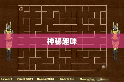 探索重力迷宫，神秘与趣味的交织