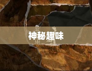 探索重力迷宫,神秘与趣味的交织 探索重力迷宫,神秘与趣味的交织