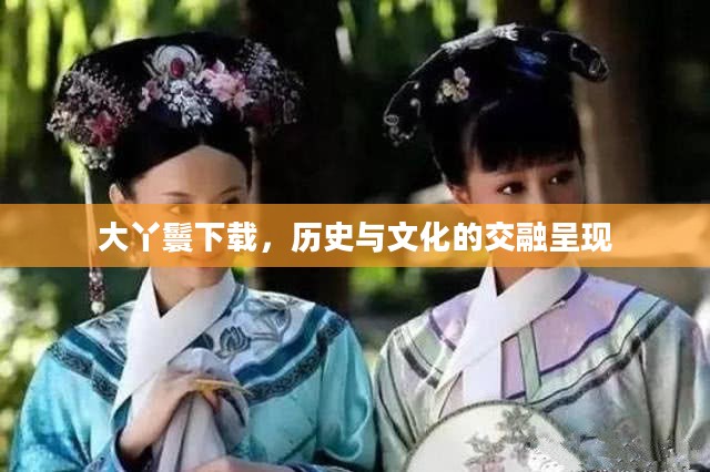 大丫鬟下载，历史与文化的交融呈现