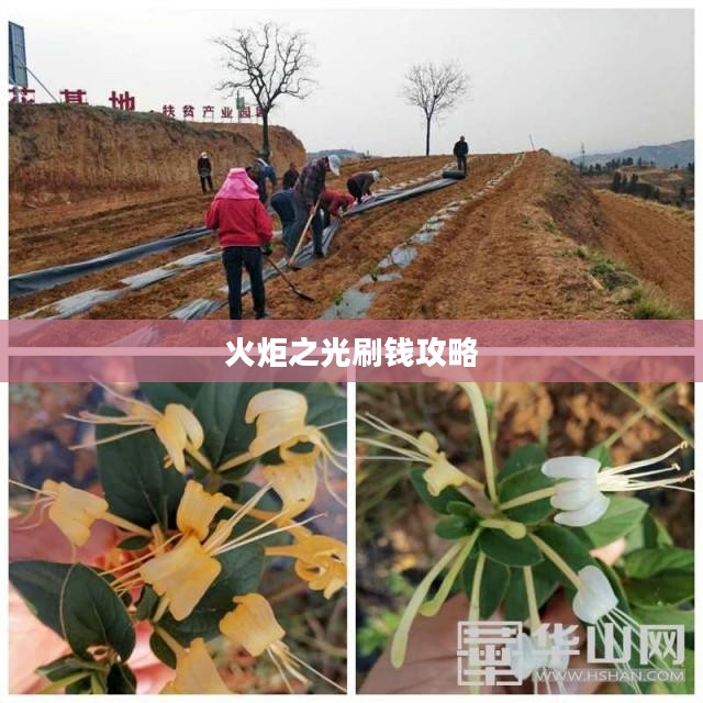 火炬之光刷钱攻略，轻松致富的秘诀