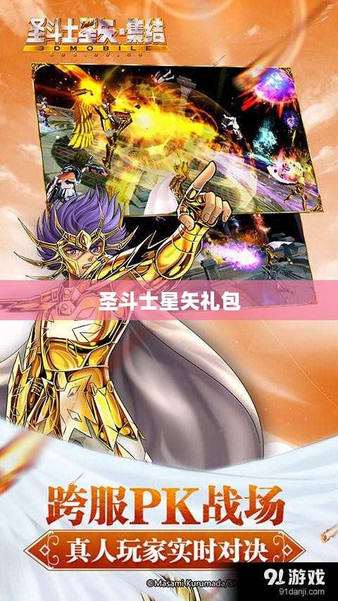 圣斗士星矢礼包，热血与勇气的集结号