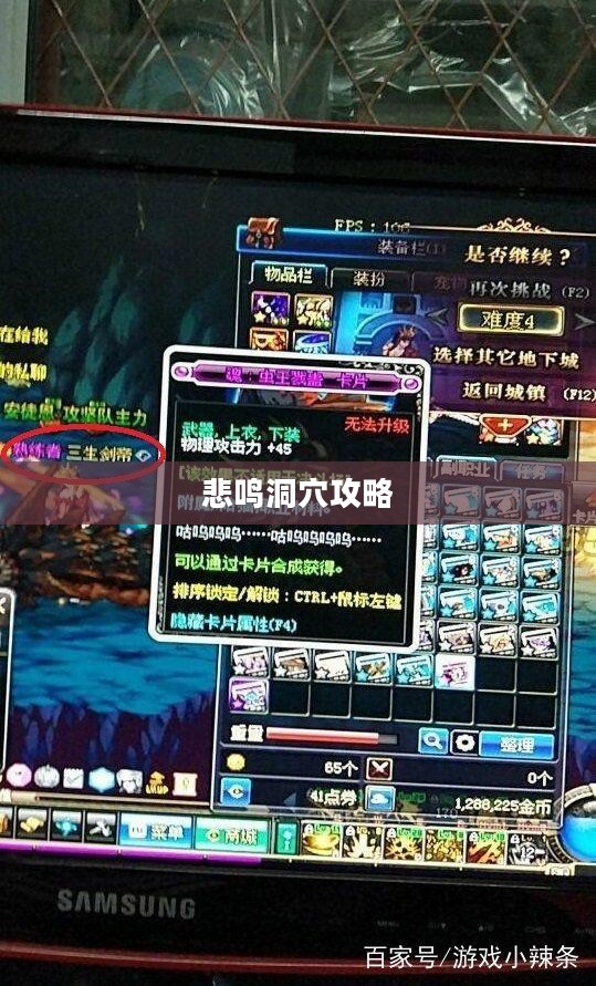 悲鸣洞穴攻略,高效打击与战斗策略 悲鸣洞穴攻略,高效打击与战斗策略