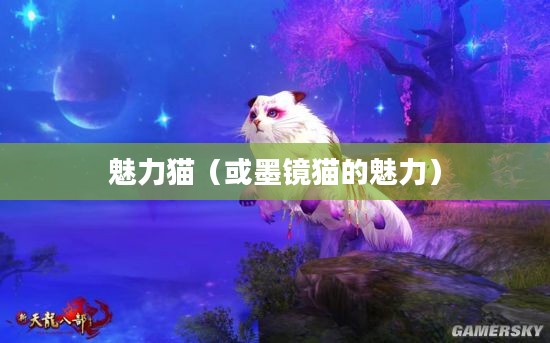 天龙八部，墨镜猫的无尽魅力