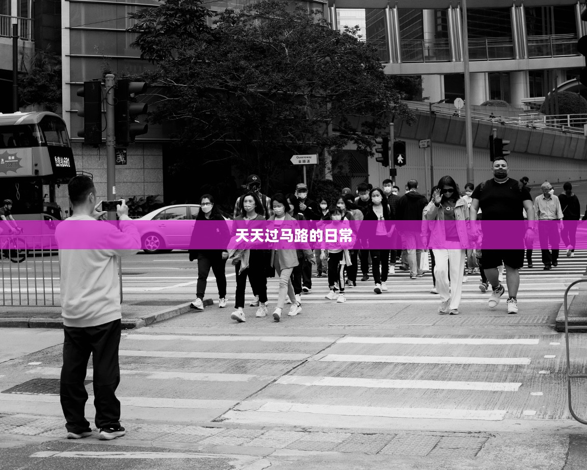 天天过马路的日常