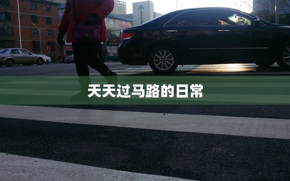 天天过马路的日常