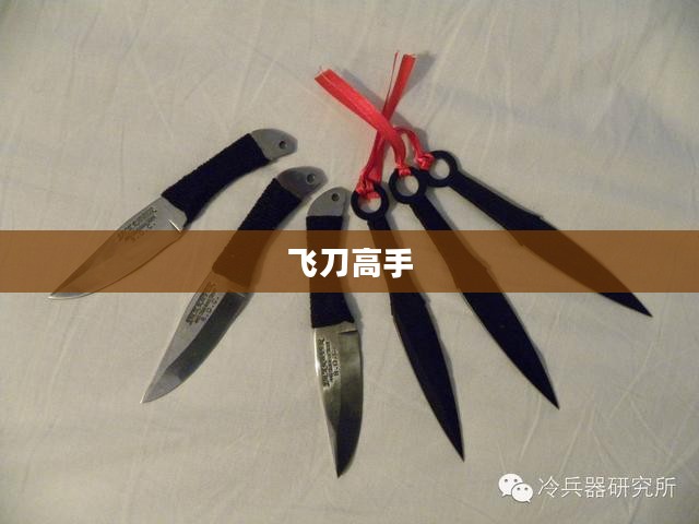 飞刀高手，我的非凡技艺之旅