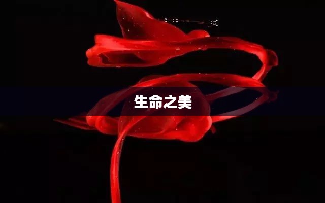 粉红血液，生命之美的独特诠释