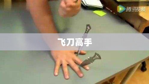 飞刀高手,我的非凡技艺之旅 飞刀高手,我的非凡技艺之旅