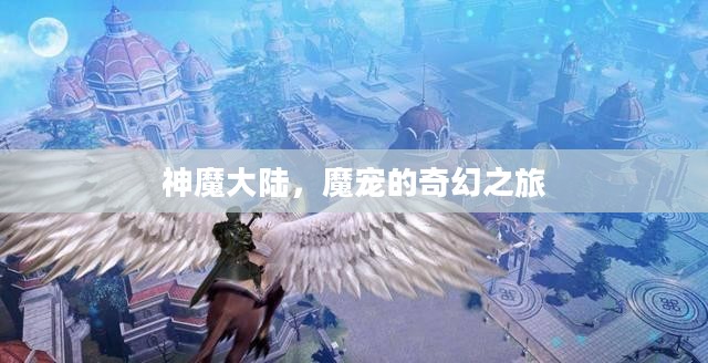 神魔大陆，魔宠的奇幻之旅