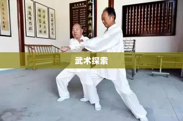精武世界单机版,探索武术的无限魅力 精武世界单机版,探索武术的无限魅力
