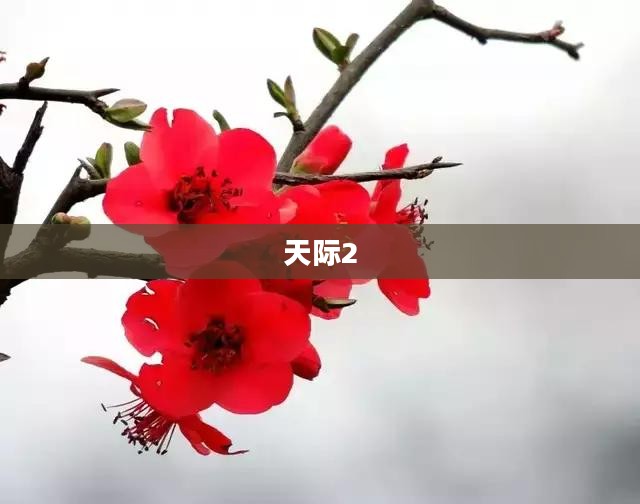 天际2，探索未知的边界