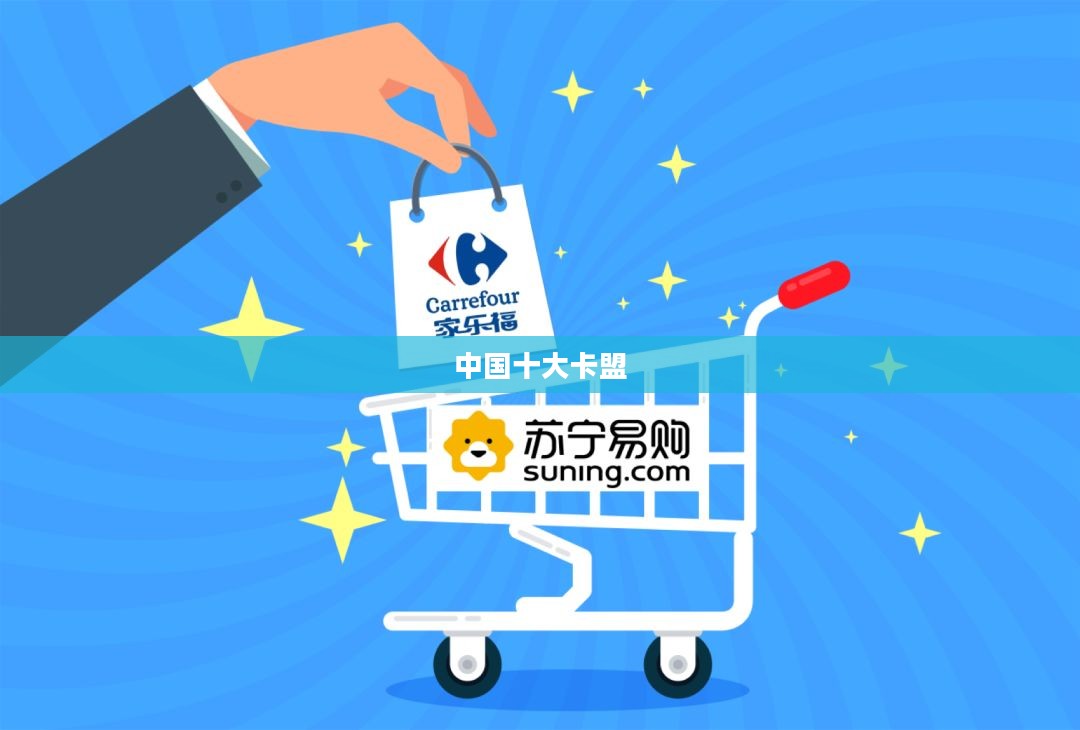 中国十大卡盟,探索与解析 中国十大卡盟,探索与解析