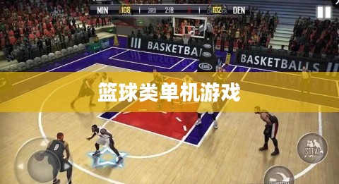 篮球热血，探索篮球类单机游戏的魅力
