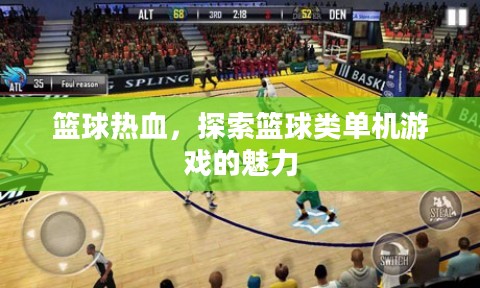 篮球热血,探索篮球类单机游戏的魅力 篮球热血,探索篮球类单机游戏的魅力