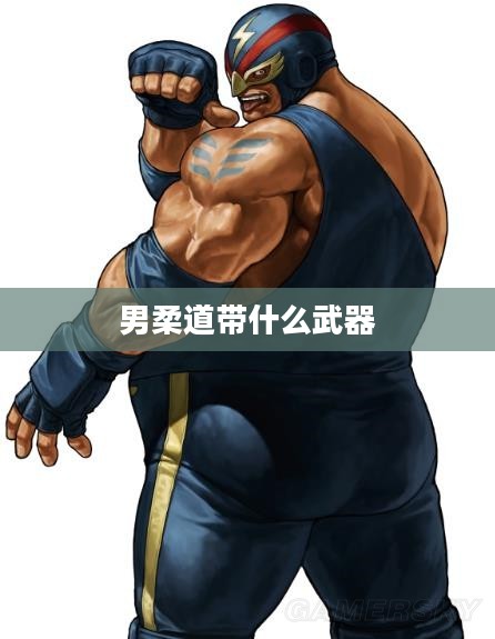 男柔道带什么武器