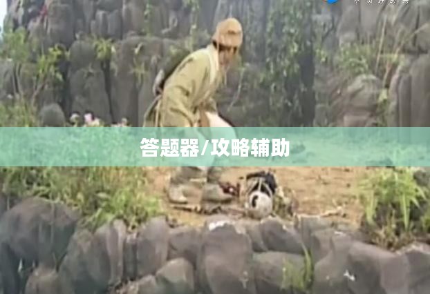 神雕侠侣手游答题器，游戏攻略与辅助工具