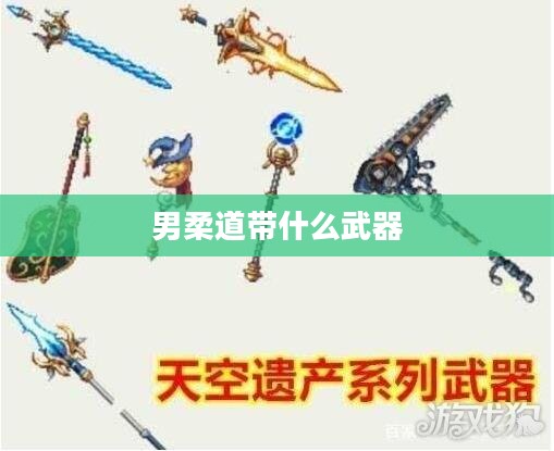 男柔道带什么武器 男柔道带什么武器
