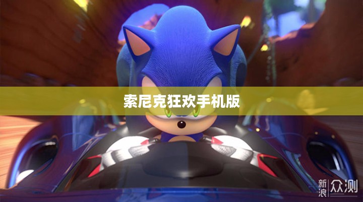索尼克狂欢手机版,速度与激情的无界之旅 索尼克狂欢手机版,速度与激情的无界之旅