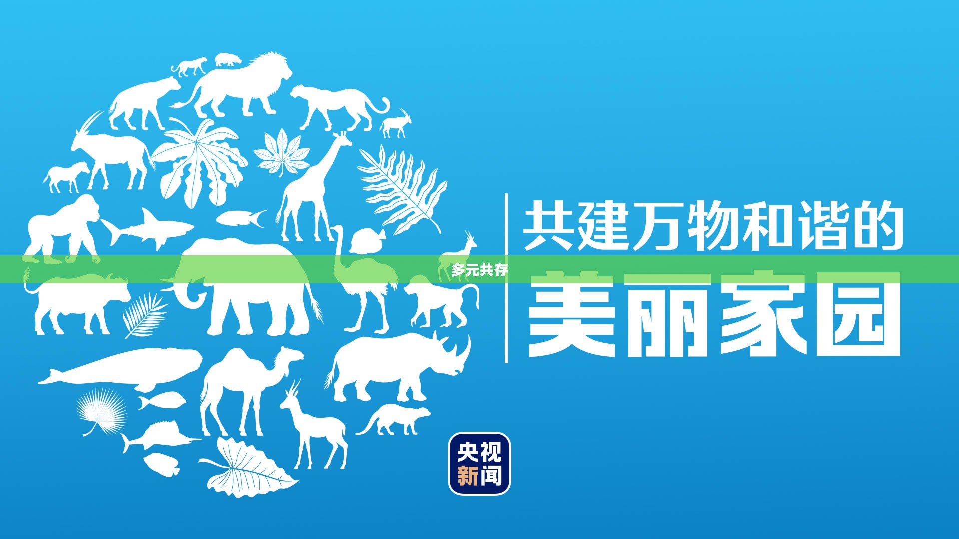 异相需共照,探索多元共存与和谐共融之道 异相需共照,探索多元共存与和谐共融之道