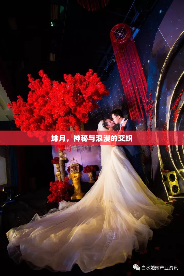 绯月，神秘与浪漫的交织
