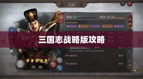 三国志战略版攻略详解，从新手到高手的转变之路