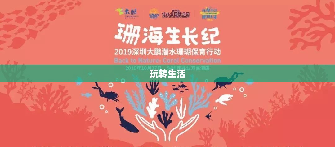 玩转生活，玩加的魅力与意义