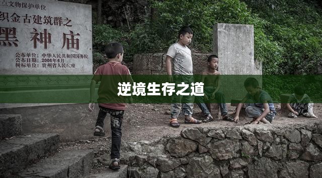 避难所生存,逆境中的生存之道 避难所生存,逆境中的生存之道