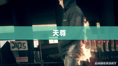 天尊,神秘力量的象征与探索 天尊,神秘力量的象征与探索