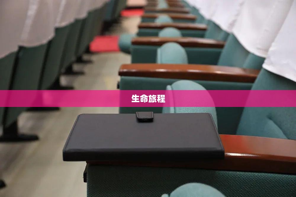 小黑，一段独特的生命旅程