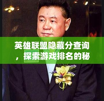 英雄联盟隐藏分查询，探索游戏排名的秘密