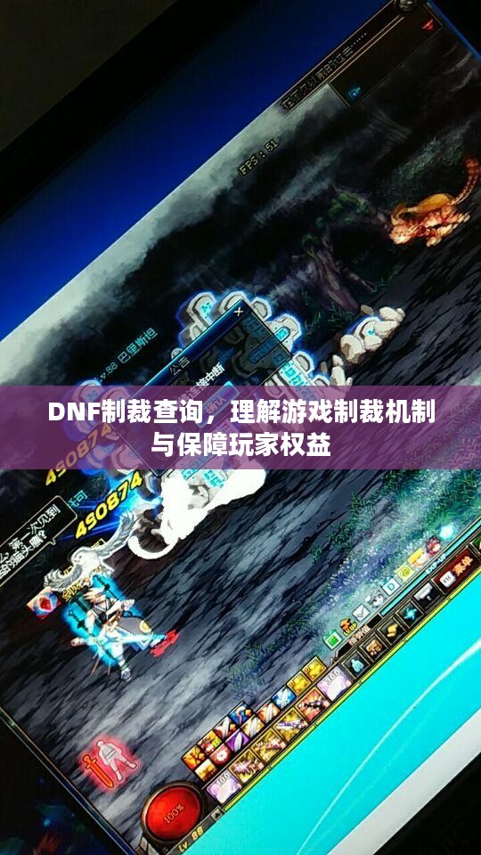 DNF制裁查询，理解游戏制裁机制与保障玩家权益