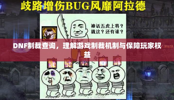 DNF制裁查询,理解游戏制裁机制与保障玩家权益 DNF制裁查询,理解游戏制裁机制与保障玩家权益