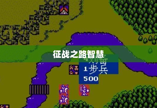 吞食天地2全面攻略，征战之路的无尽智慧