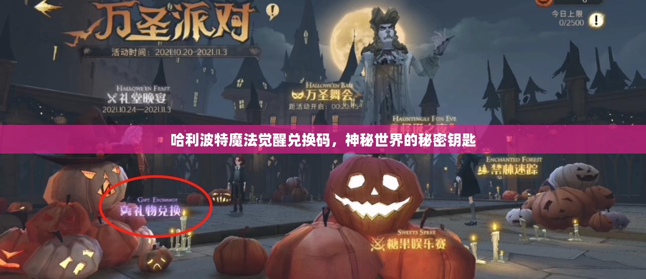 哈利波特魔法觉醒兑换码,神秘世界的秘密钥匙 哈利波特魔法觉醒兑换码,神秘世界的秘密钥匙