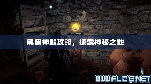 黑暗神殿攻略,探索神秘之地 黑暗神殿攻略,探索神秘之地