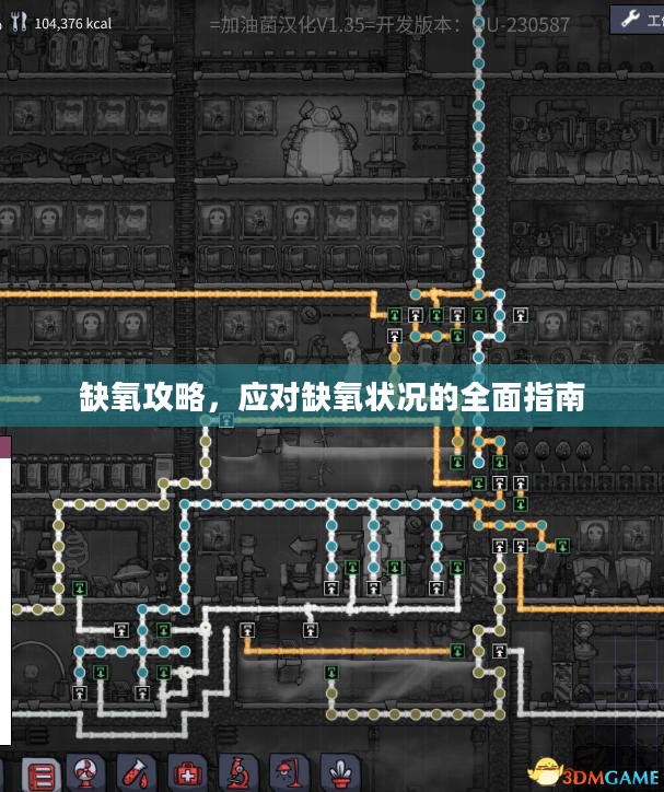 缺氧攻略,应对缺氧状况的全面指南 缺氧攻略,应对缺氧状况的全面指南