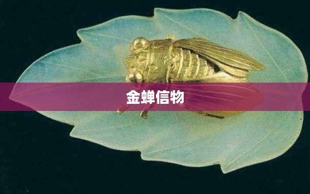 金蝉信物的获得方法与途径