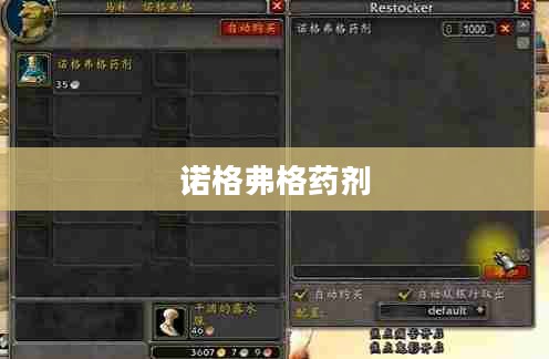 诺格弗格药剂，神秘与传奇的交融