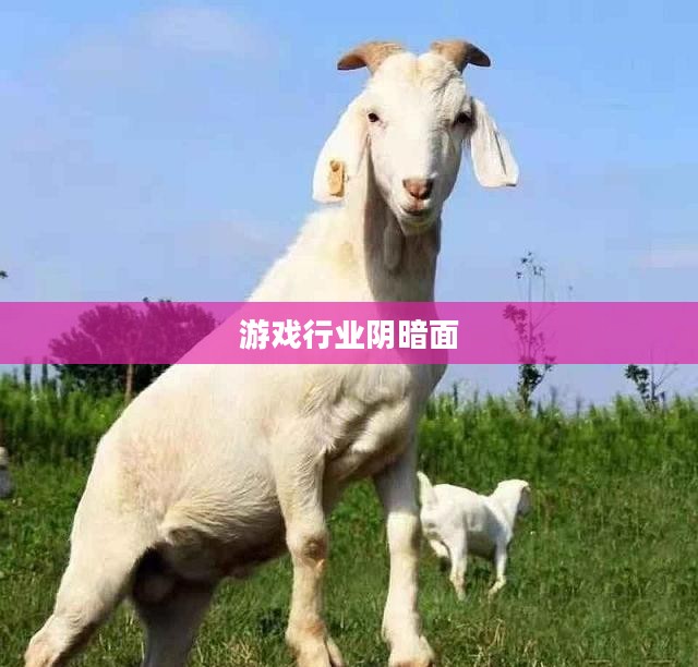 邪恶小游戏的背后,探究游戏行业的阴暗面 邪恶小游戏的背后,探究游戏行业的阴暗面