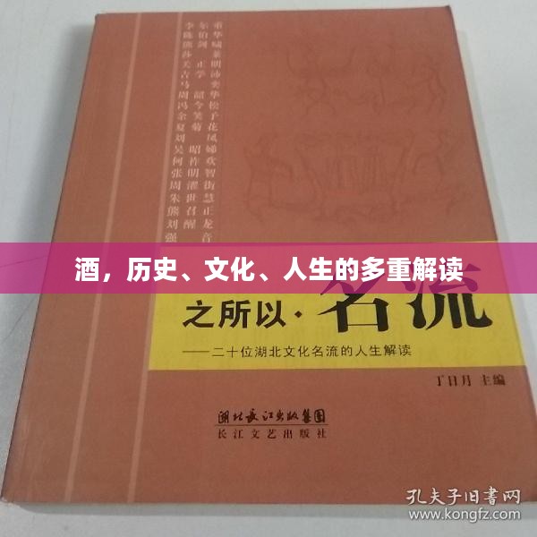 酒，历史、文化、人生的多重解读