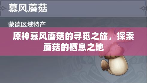 原神慕风蘑菇的寻觅之旅，探索蘑菇的栖息之地