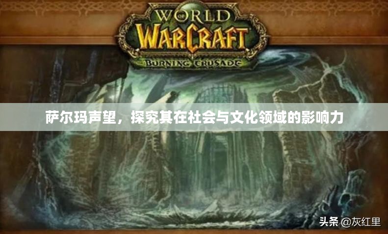 萨尔玛声望，探究其在社会与文化领域的影响力