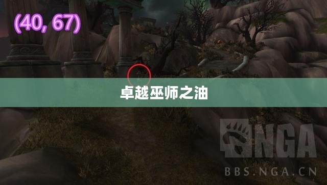 卓越巫师之油,神秘力量的源泉 卓越巫师之油,神秘力量的源泉