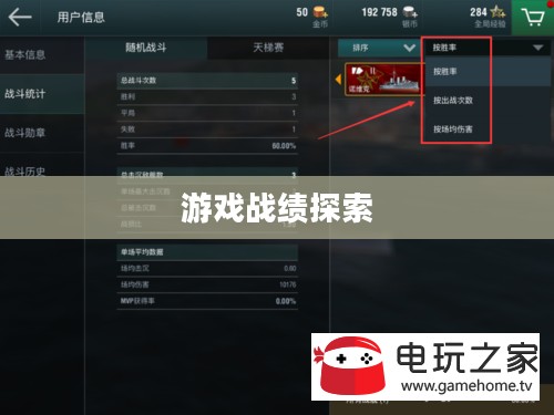 战舰世界战绩查询,探索游戏战绩的奥秘 战舰世界战绩查询,探索游戏战绩的奥秘