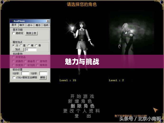 揭秘私服天龙八部的魅力与挑战