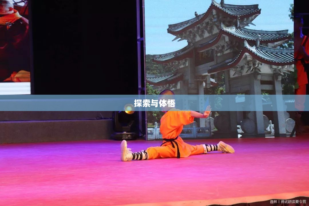 功夫世界，探索与体悟