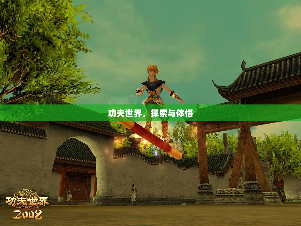 功夫世界,探索与体悟 功夫世界,探索与体悟