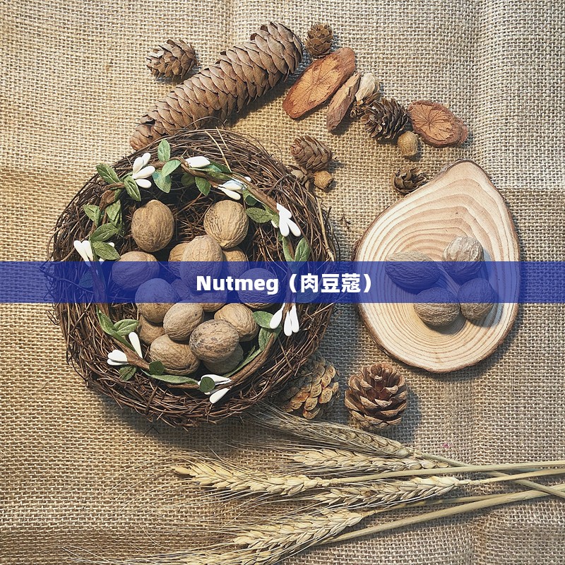 Nutmeg，香料之王的魅力与神秘